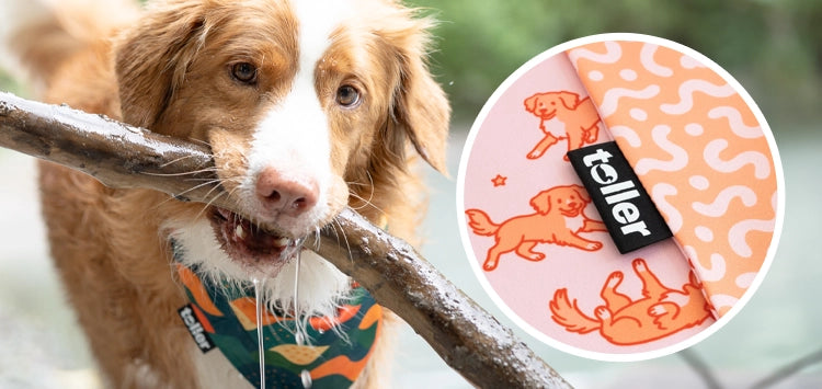 hand drawn dog bandana design
