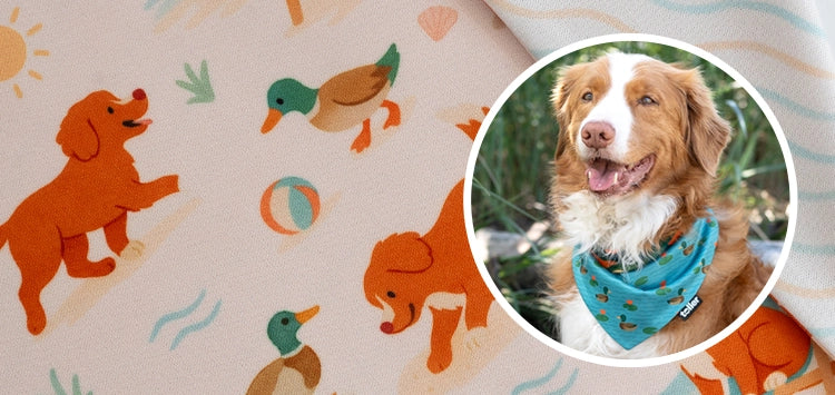 custom duck toller prints