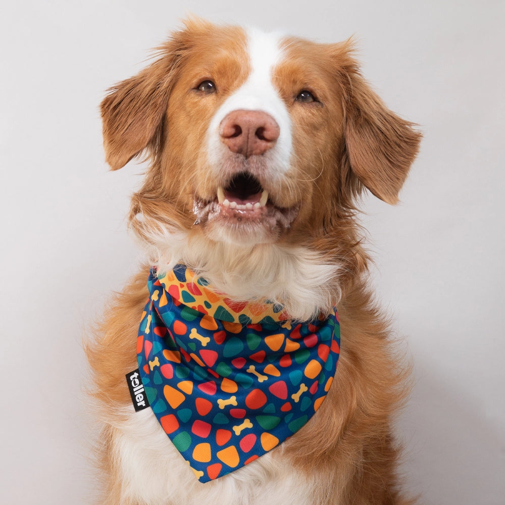 'Fruity Pebbles' 2-in-1 Dog Bandana