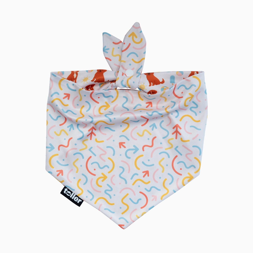 Colorful patterned dog bandana on a white background