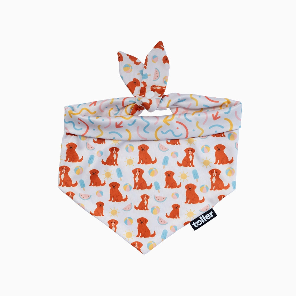 Dog bandana with colorful puppy pattern on a white background