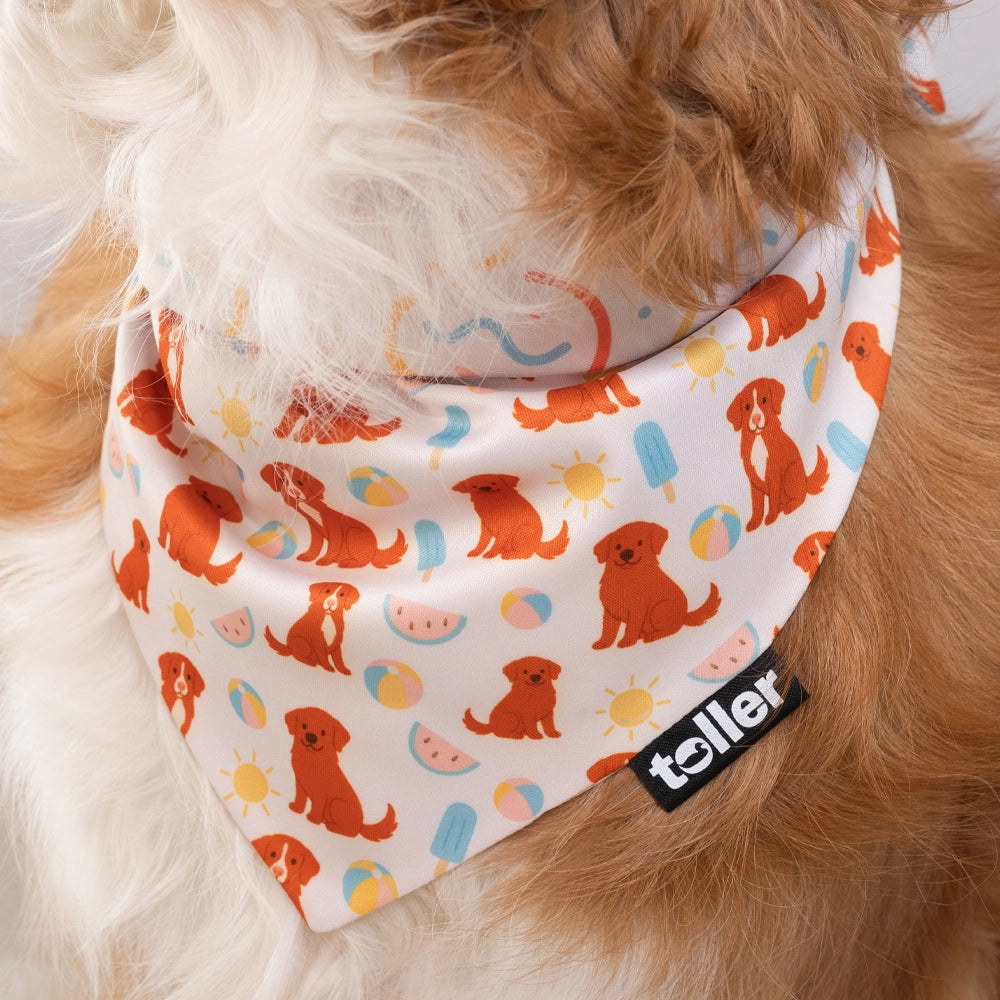 Dog wearing a bandana with orange dog pattern and 'toller' brand label.