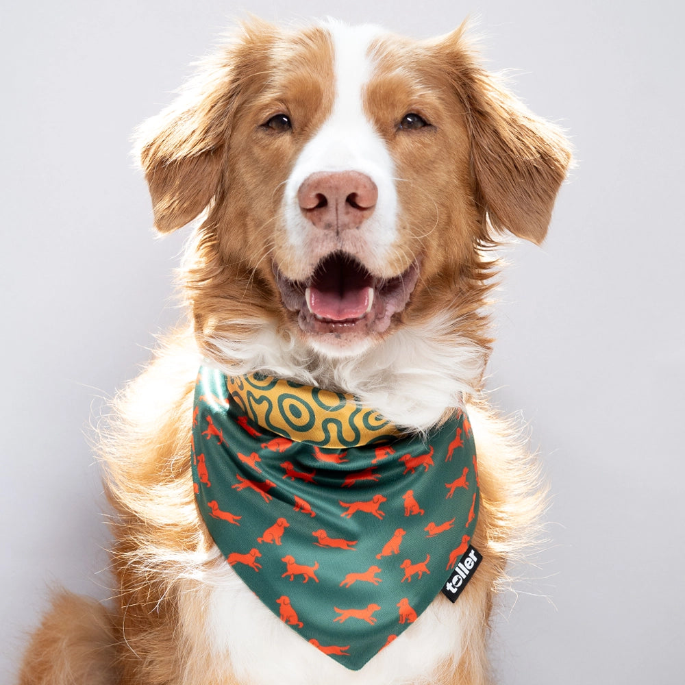 'Hunter's Green' 2-in-1 Dog Bandana