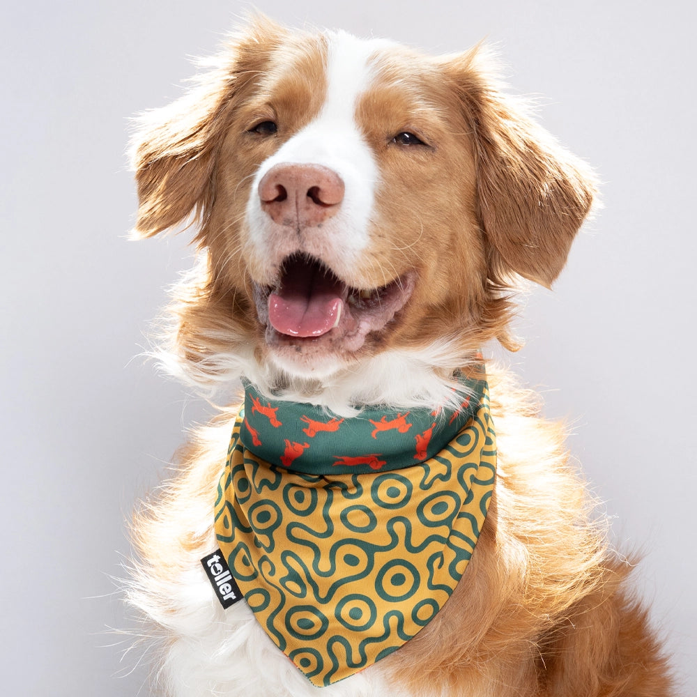'Hunter's Green' 2-in-1 Dog Bandana