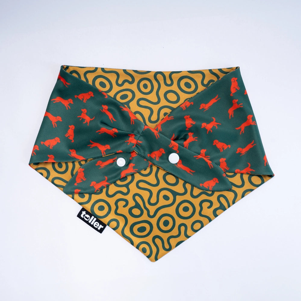 Dog bandana with red dog pattern on green and yellow abstract design, featuring the brand 'Toller'.