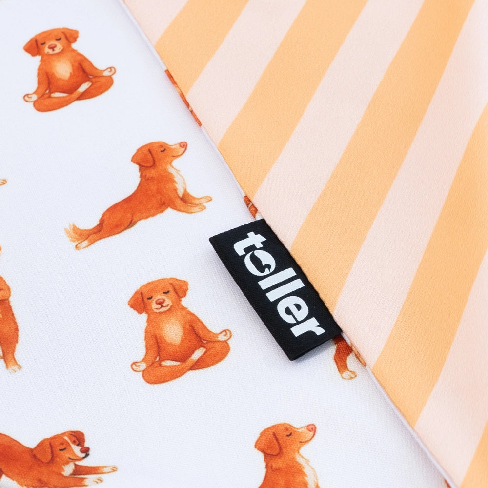 'Nama-stay Stripe' 2-in-1 Dog Bandana