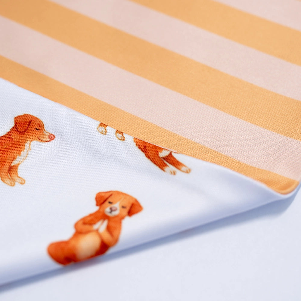 'Nama-stay Stripe' 2-in-1 Dog Bandana