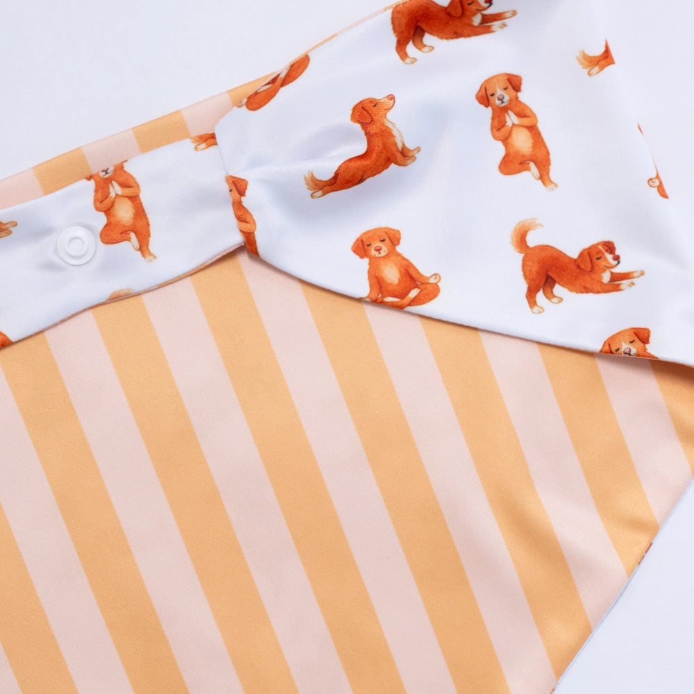 'Nama-stay Stripe' 2-in-1 Dog Bandana