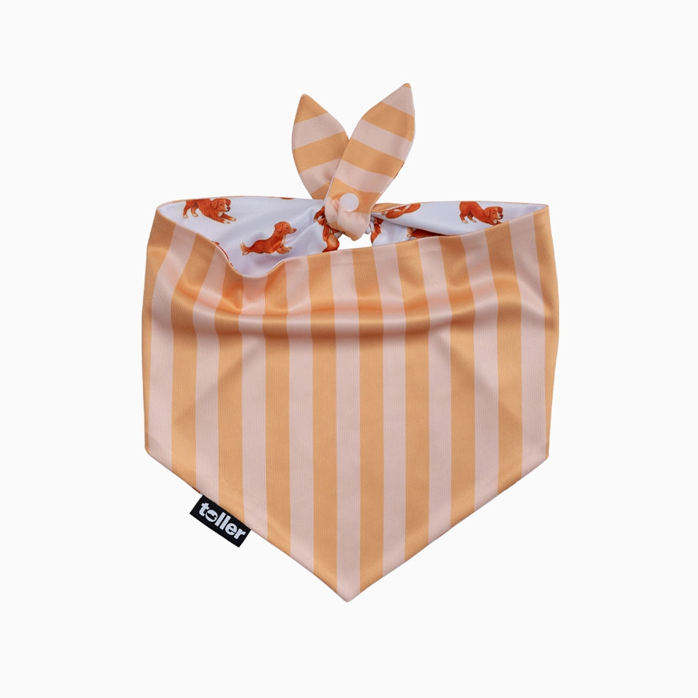 'Nama-stay Stripe' 2-in-1 Dog Bandana