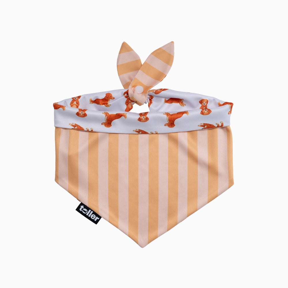 Dog toy with striped pattern and fox design on a white background