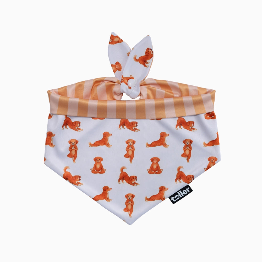 'Nama-stay Stripe' 2-in-1 Dog Bandana