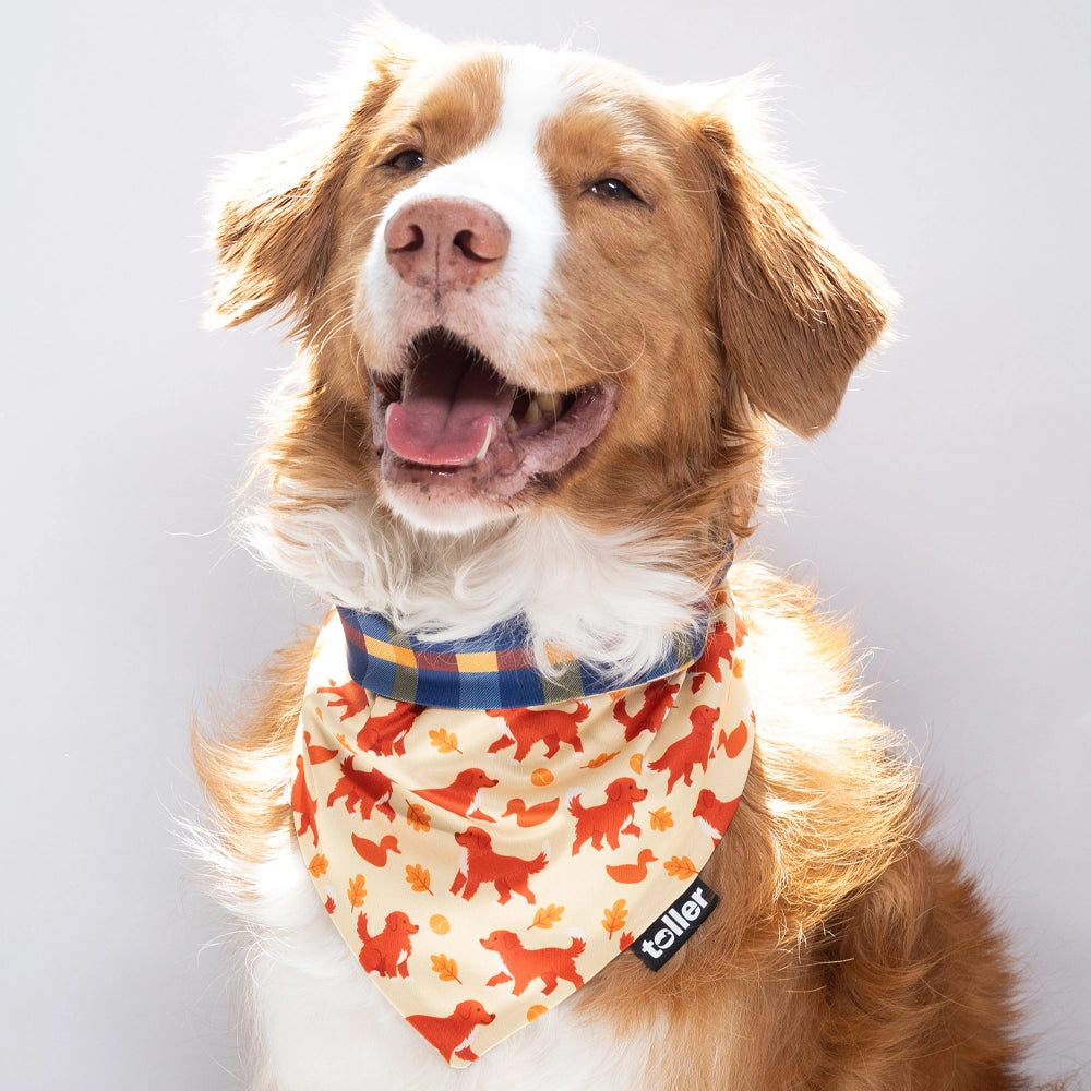 'Nova Scotia Plaid' 2-in-1 Dog Bandana