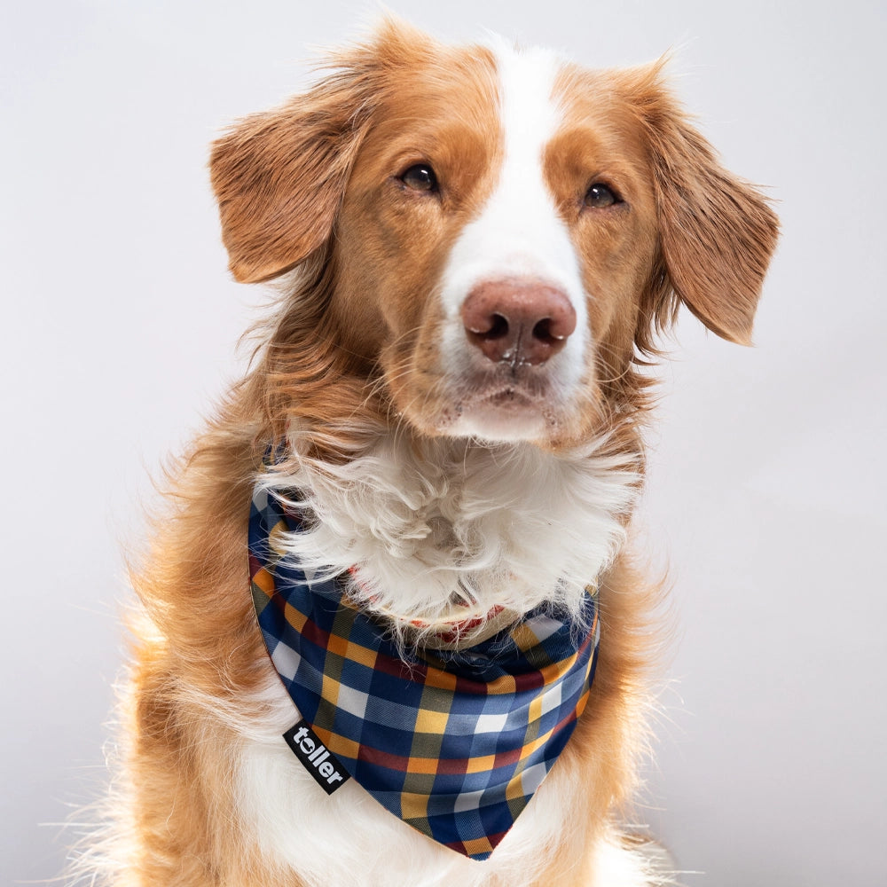 'Nova Scotia Plaid' 2-in-1 Dog Bandana