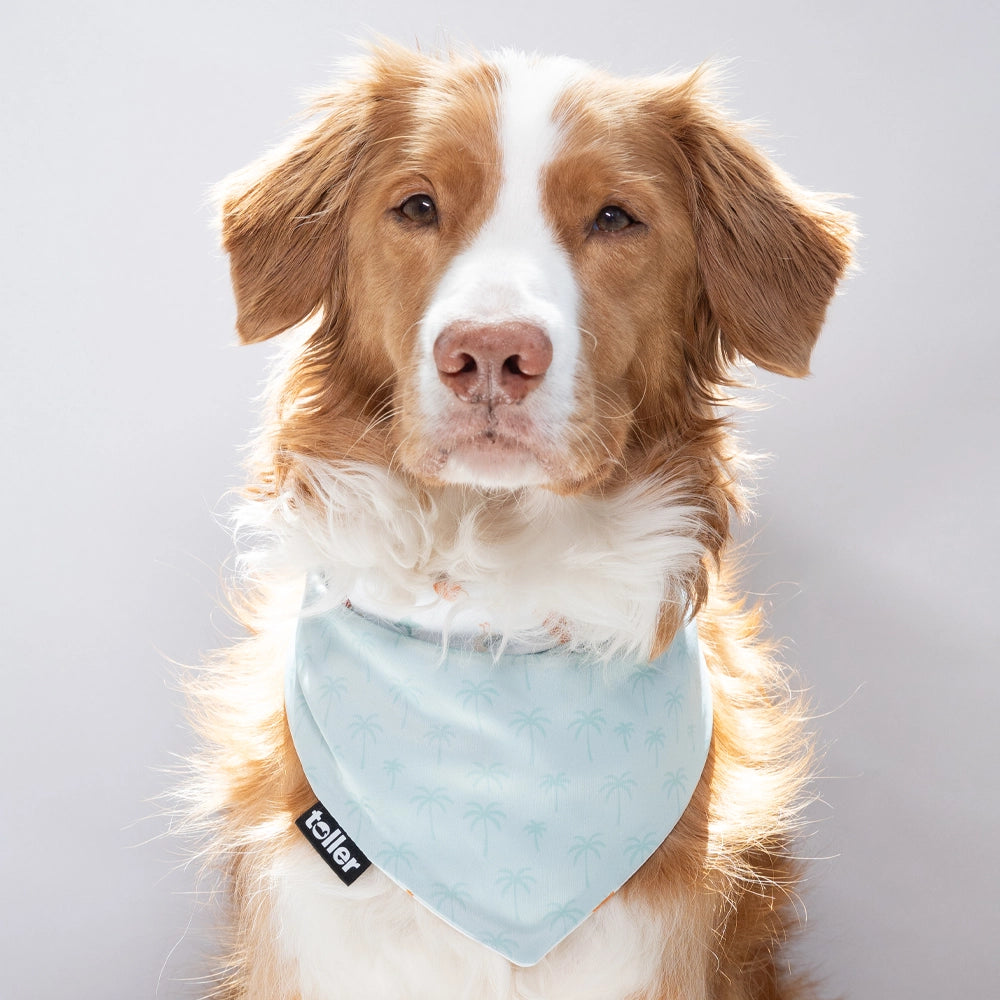 'Palmtree Play' 2-in-1 Dog Bandana