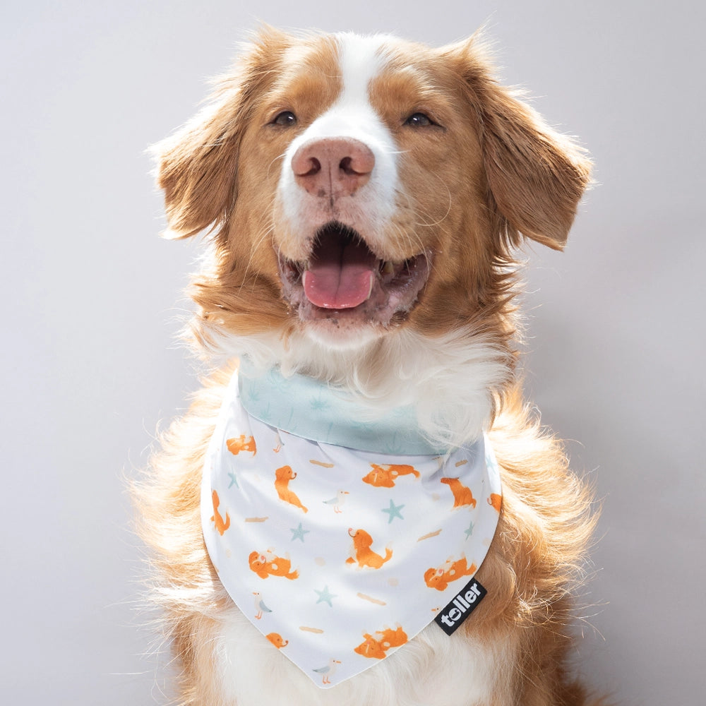 'Palmtree Play' 2-in-1 Dog Bandana