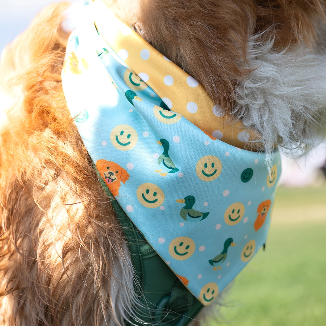 close up shot of dog bandana