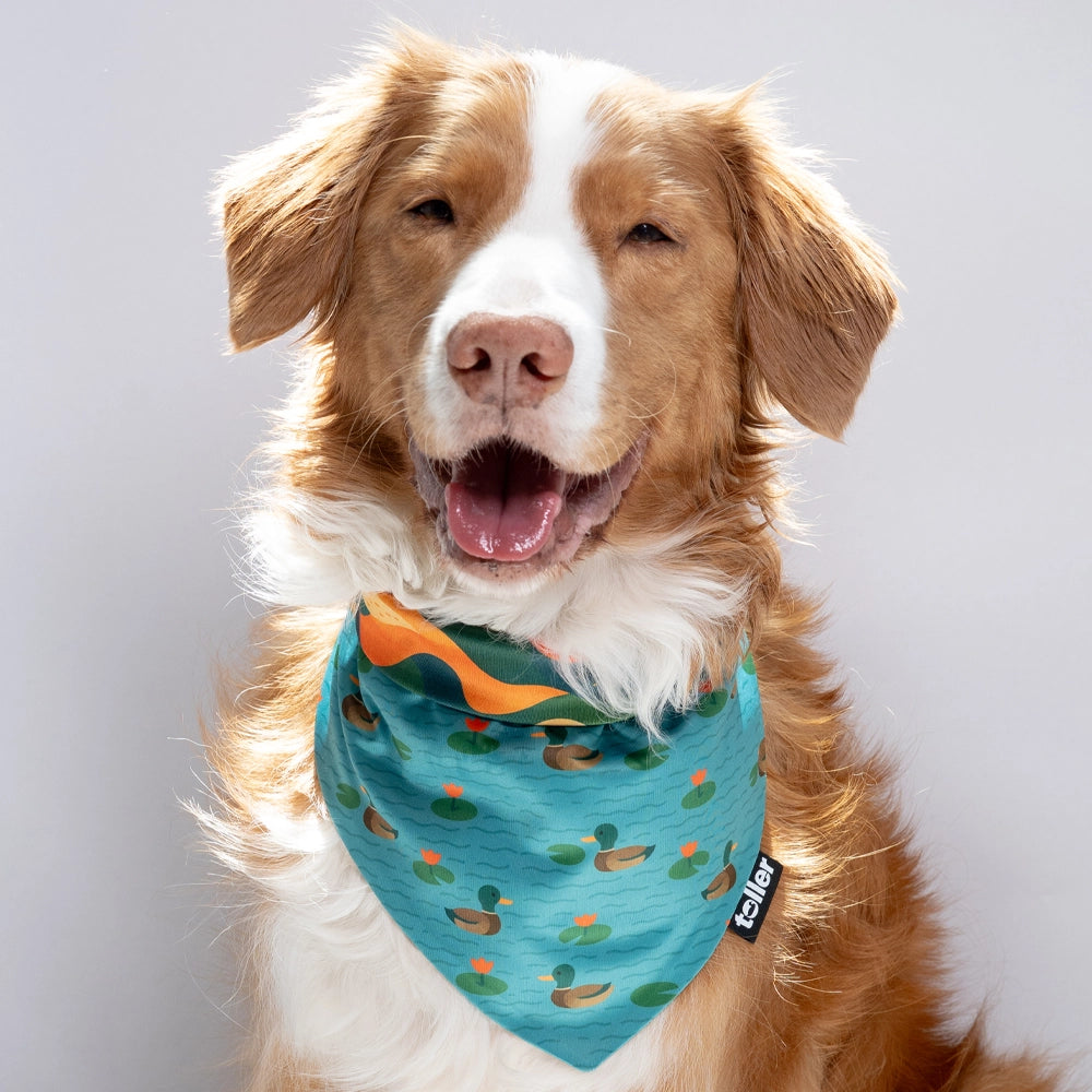'Pond To Peak' 2-in-1 Dog Bandana