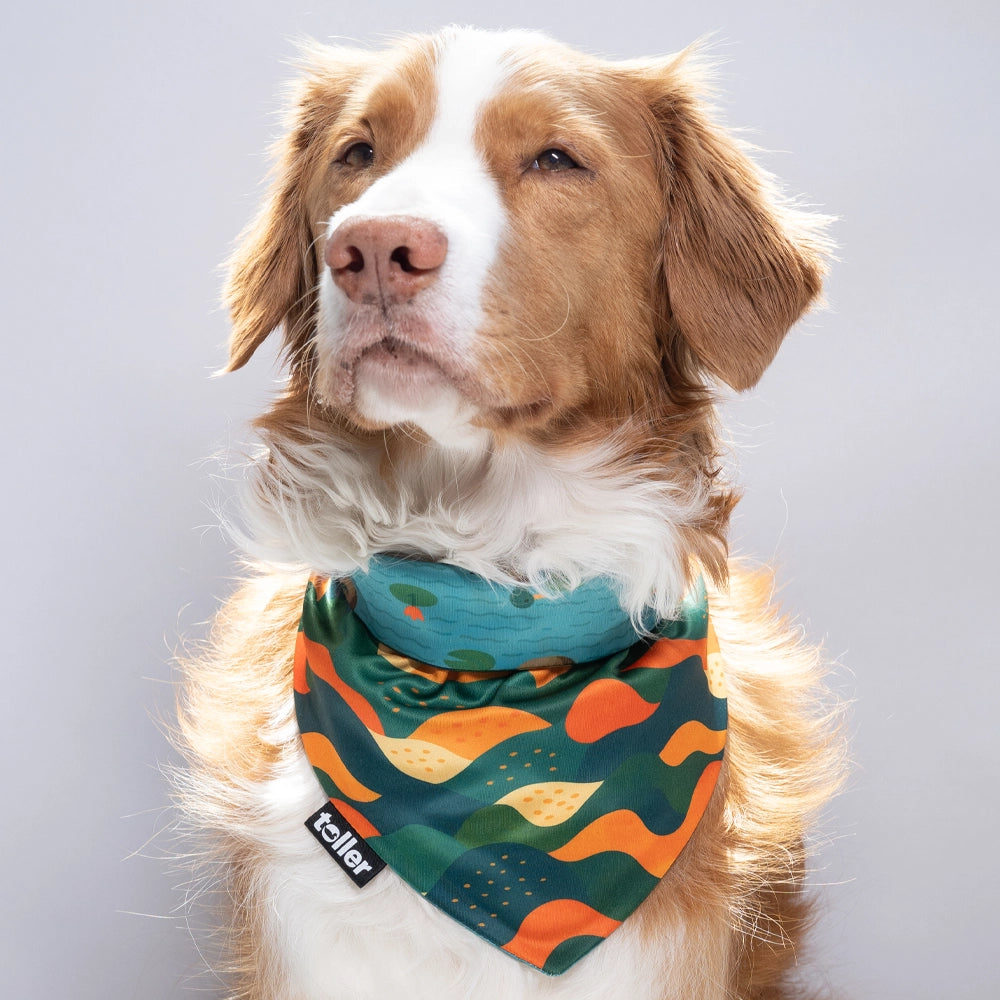 'Pond To Peak' 2-in-1 Dog Bandana