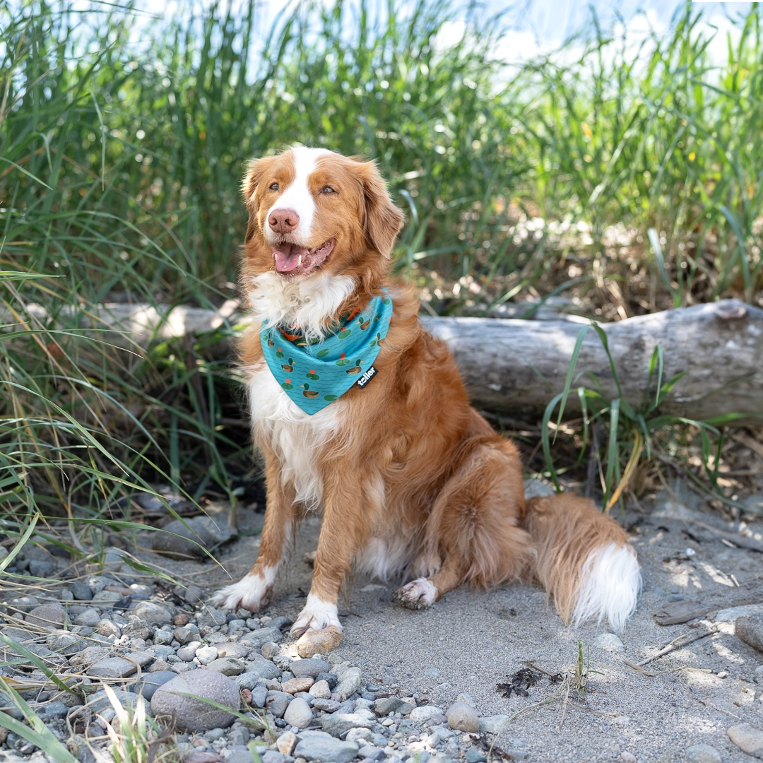 duck and pond green bandana