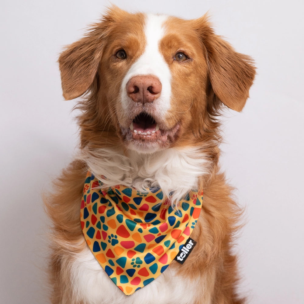 yellow fun dog bandana print