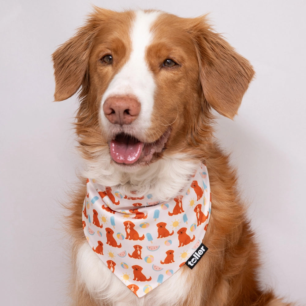 'Hot Dog Summer' 2-in-1 Dog Bandana