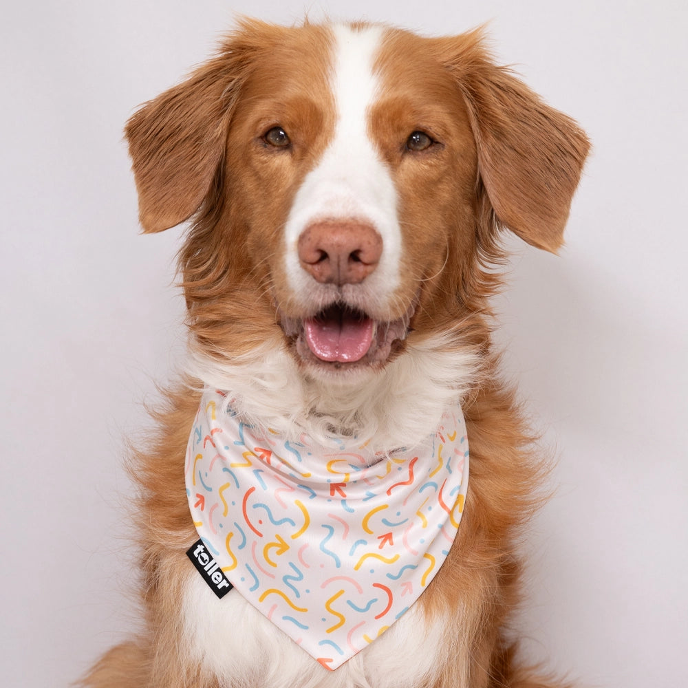 'Hot Dog Summer' 2-in-1 Dog Bandana