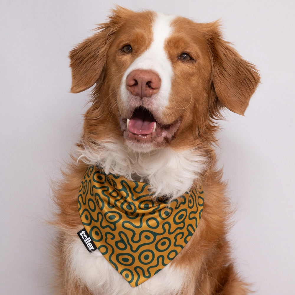 green and gold dog bandana print