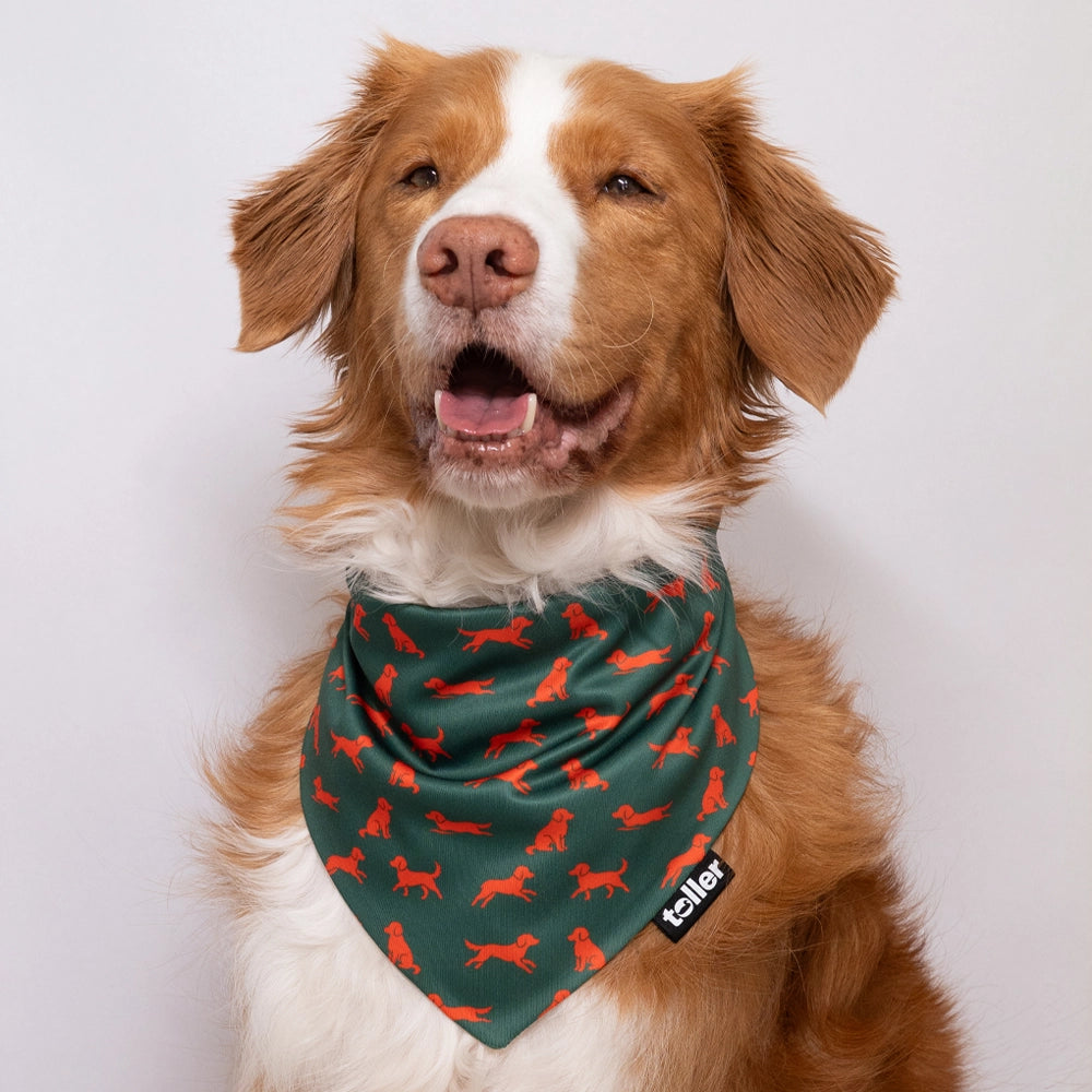 'Hunter's Green' 2-in-1 Dog Bandana
