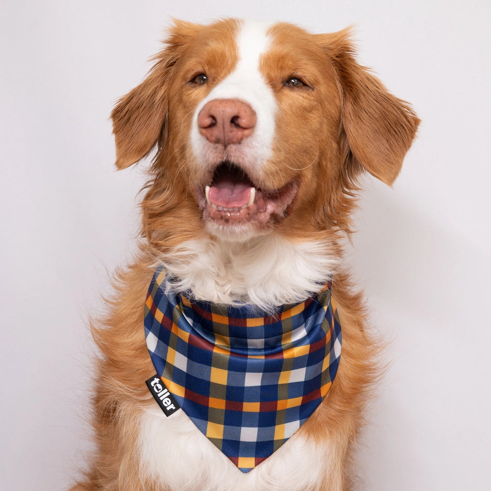 nova scotia plaid bandana