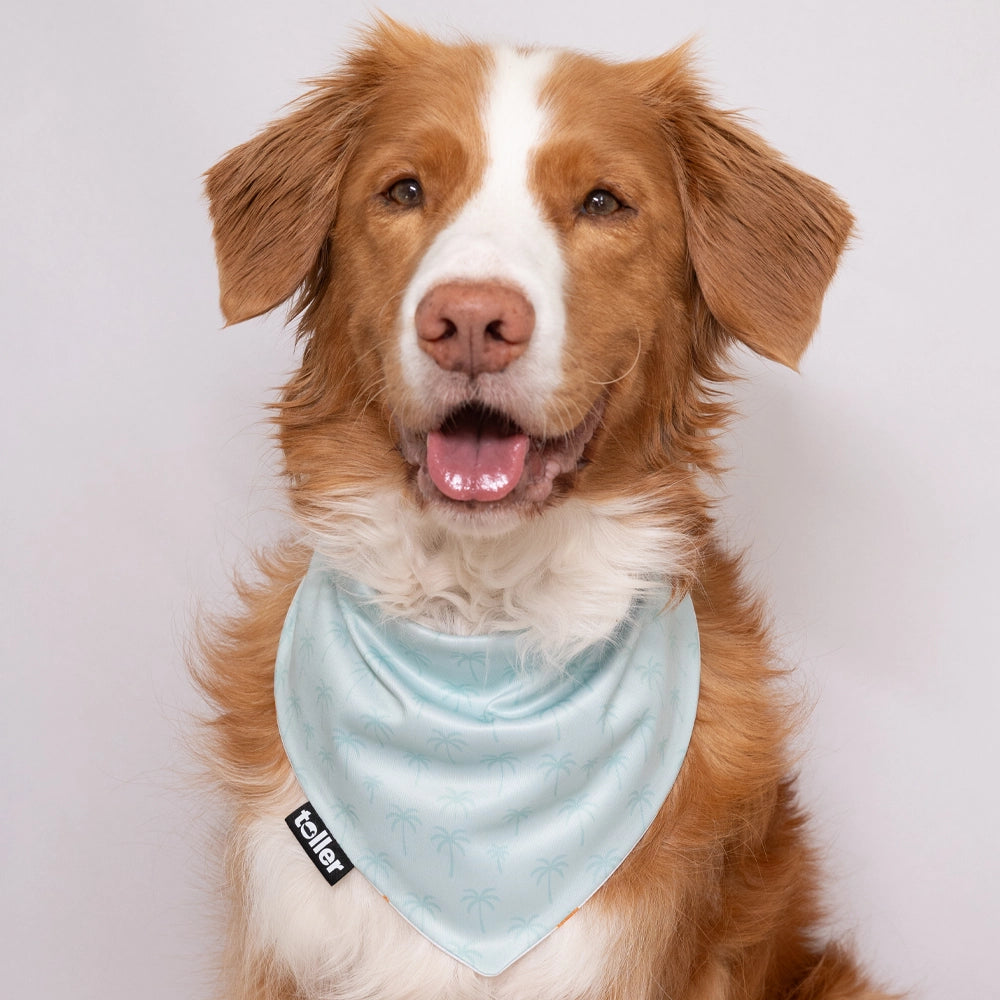 'Palmtree Play' 2-in-1 Dog Bandana