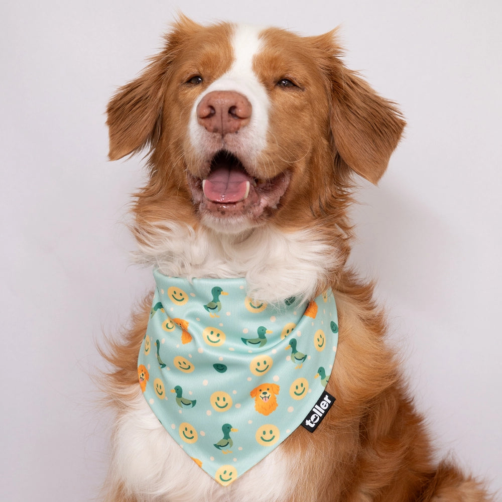 'Polka Duck' 2-in-1 Dog Bandana