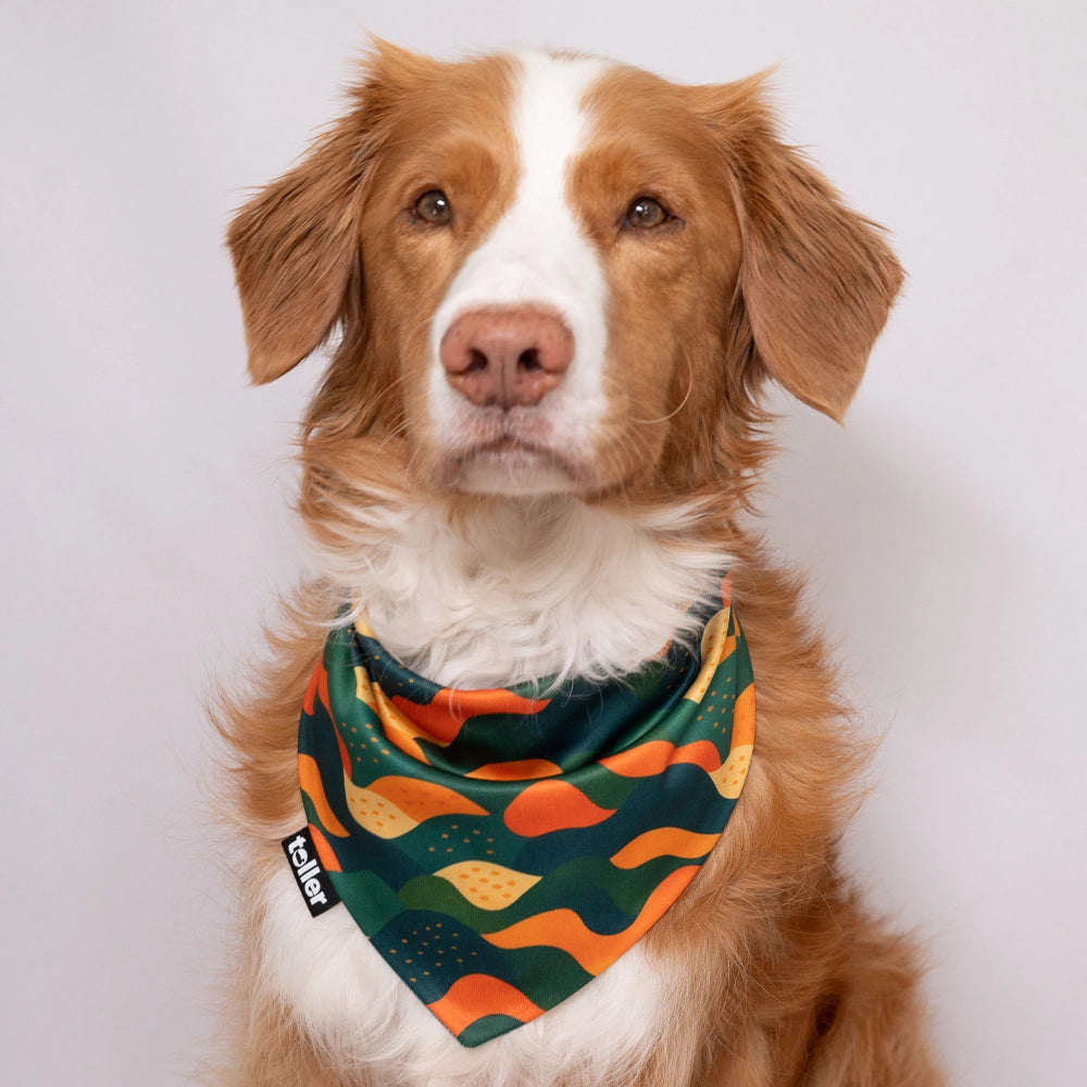 'Pond To Peak' 2-in-1 Dog Bandana