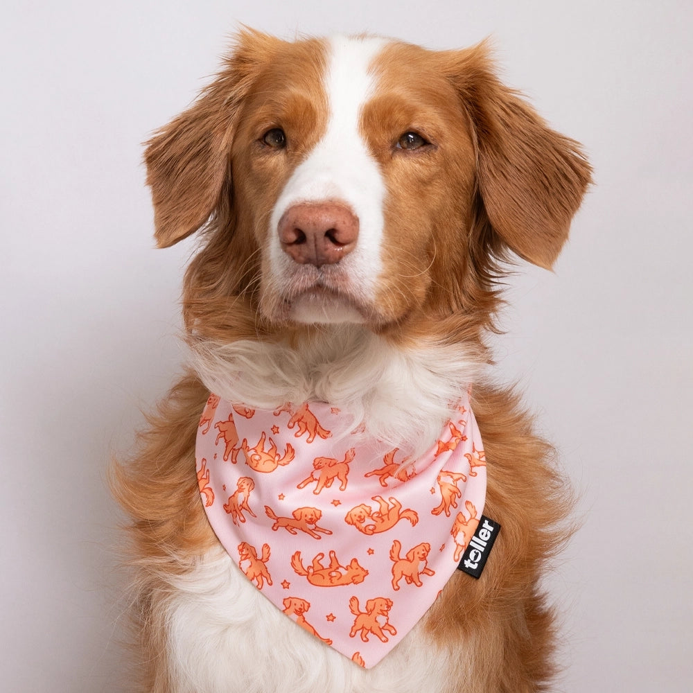 pink toller dog bandana print