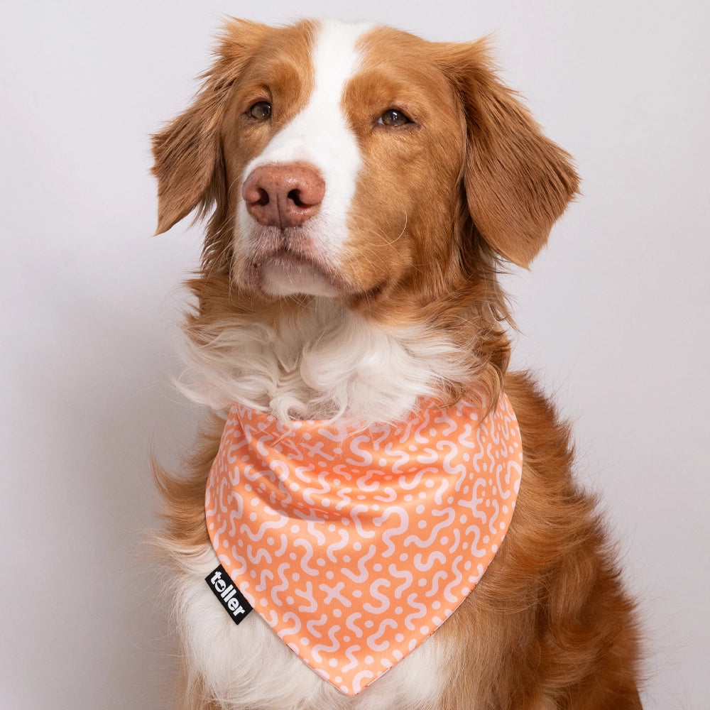 squiggly pink dog bandana design