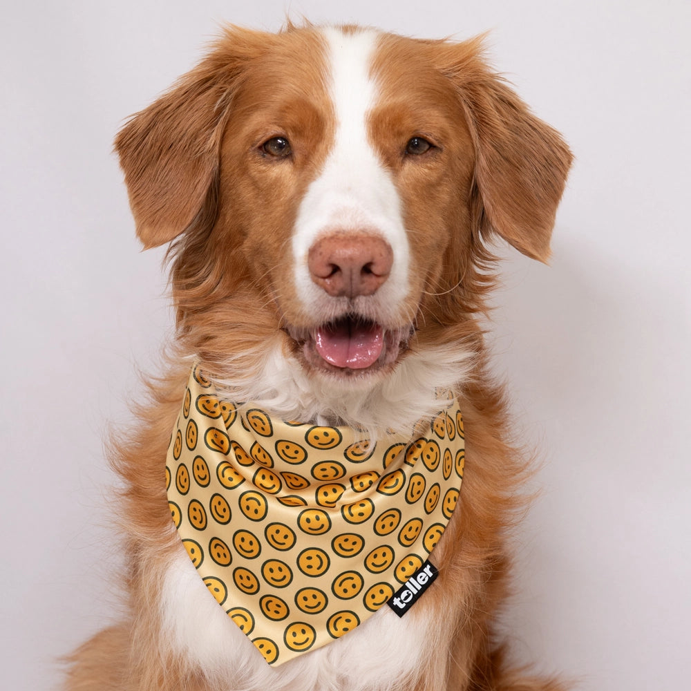 yellow smiley face dog bandana