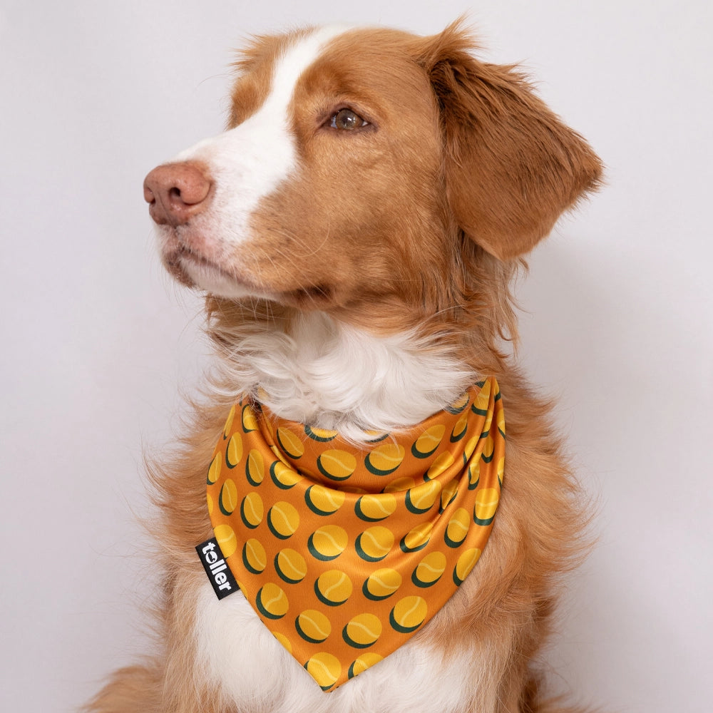 tennis ball bandana dog print