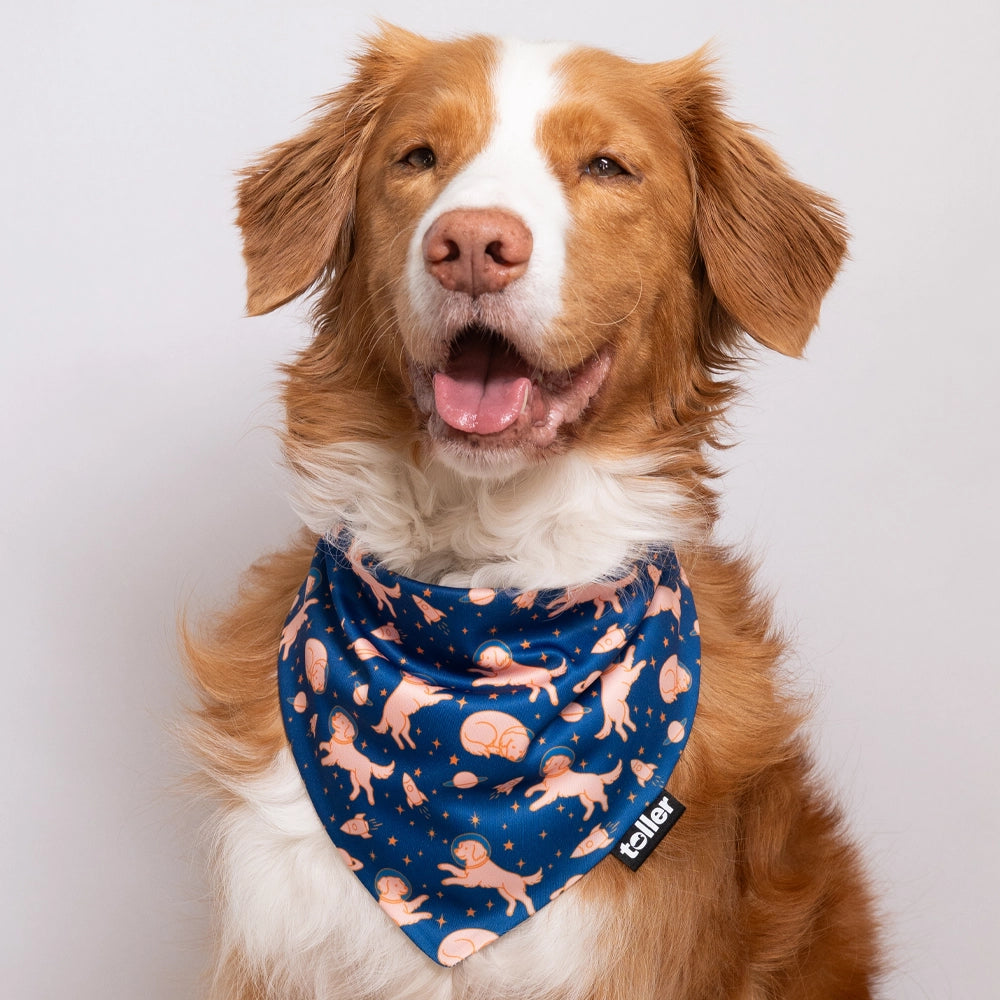 space toller dog bandana print