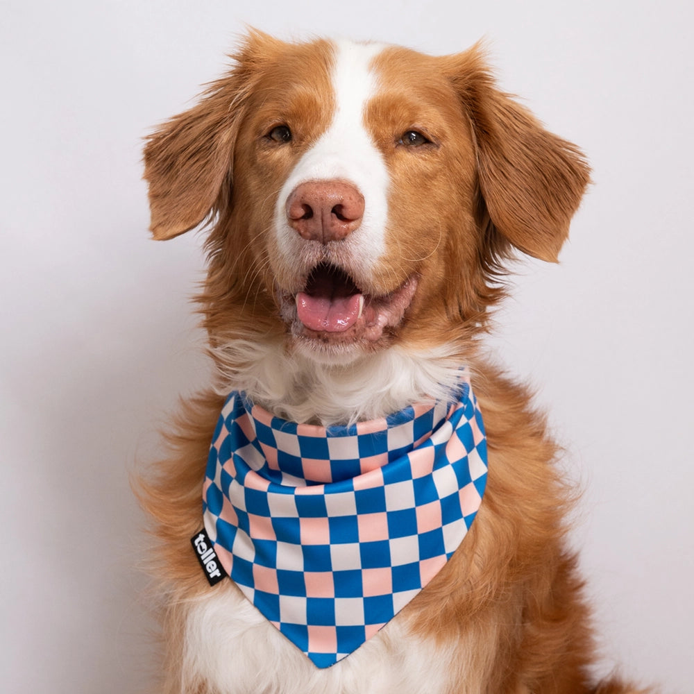 'Space Invader' 2-in-1 Dog Bandana