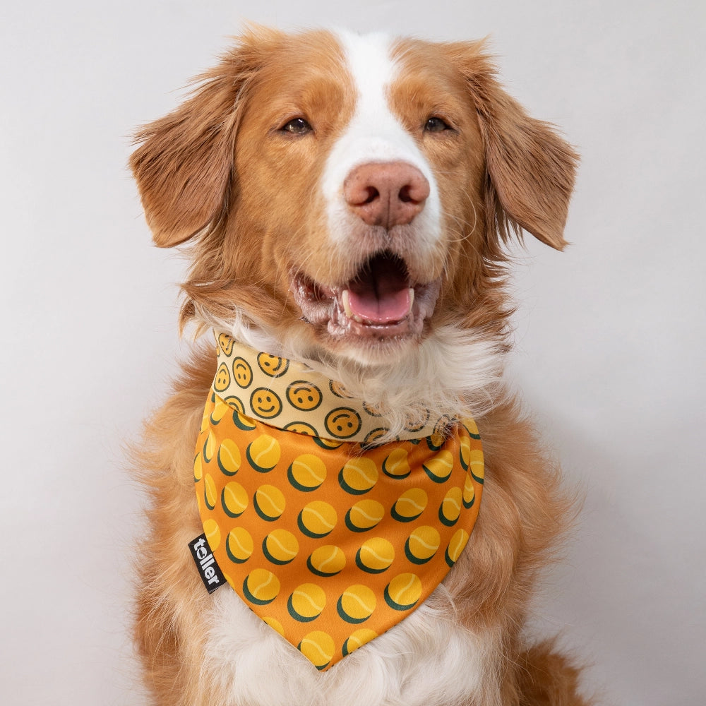 'Smiley Spot' 2-in-1 Dog Bandana