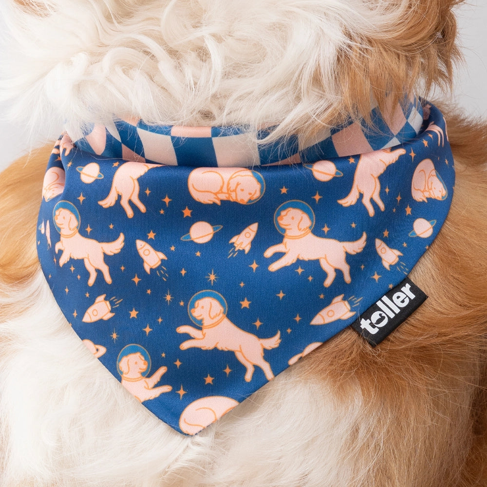 'Space Invader' 2-in-1 Dog Bandana