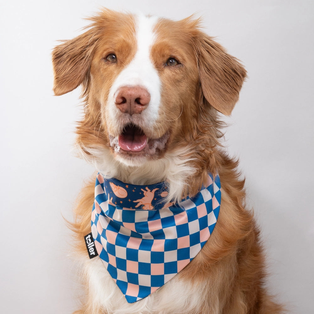 'Space Invader' 2-in-1 Dog Bandana