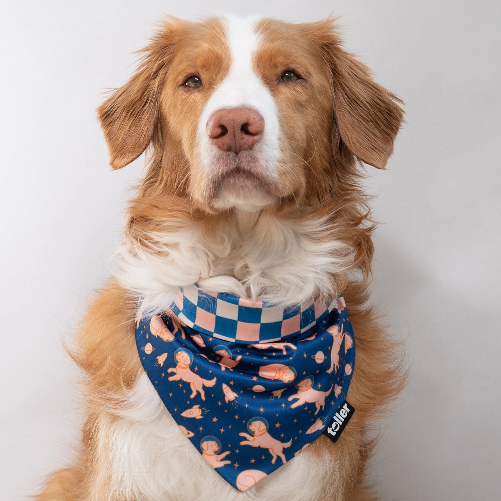 'Space Invader' 2-in-1 Dog Bandana