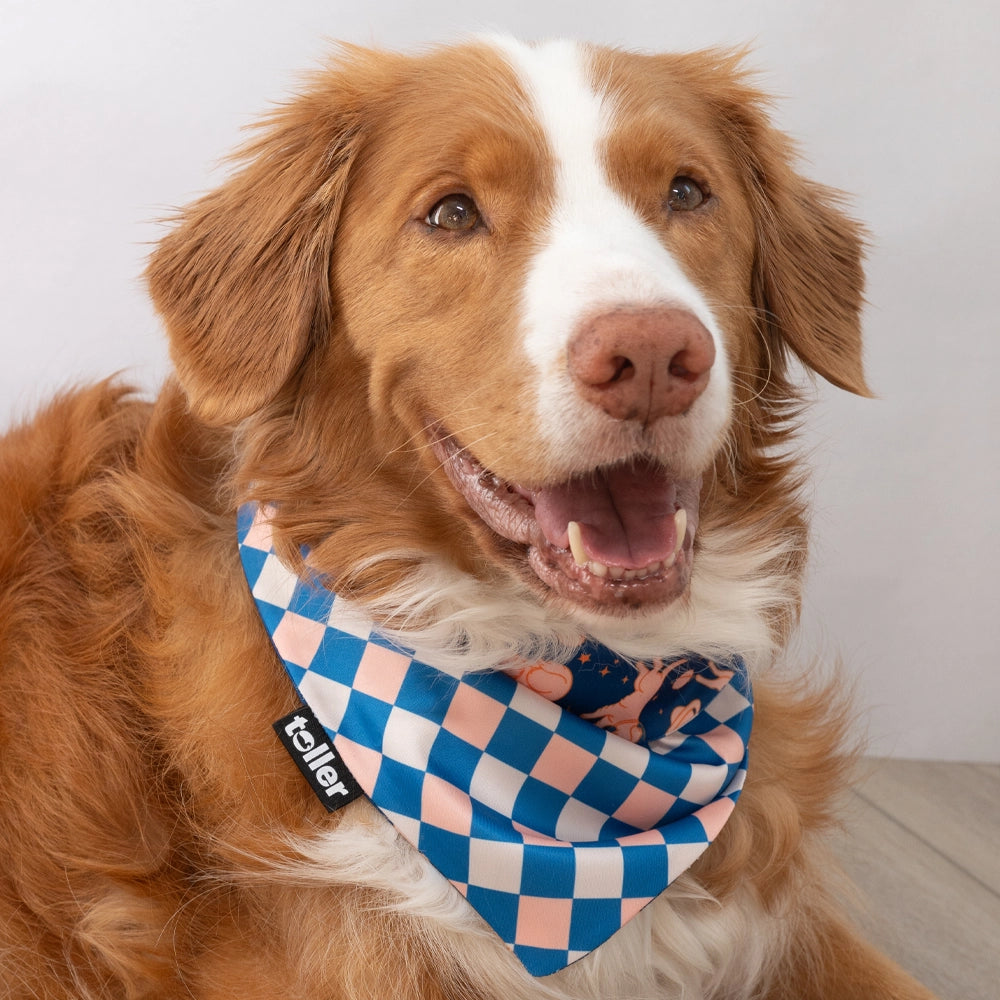 'Space Invader' 2-in-1 Dog Bandana