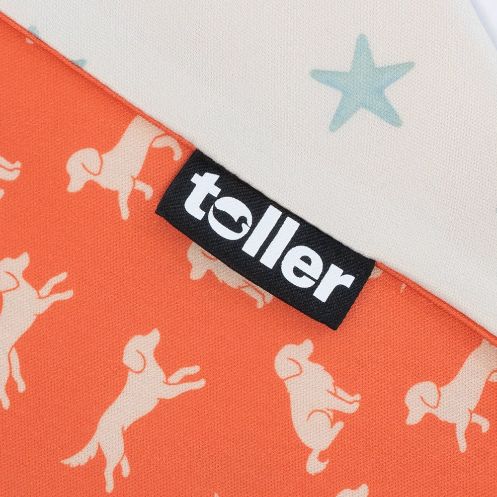 'Star Player' 2-in-1 Dog Bandana