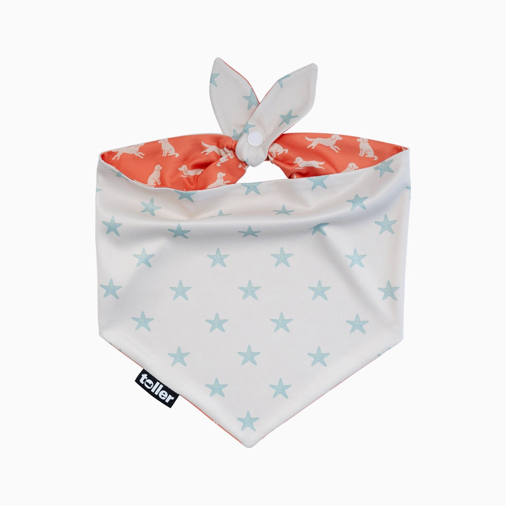'Star Player' 2-in-1 Dog Bandana