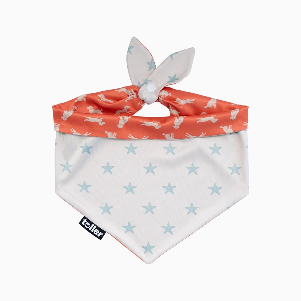 'Star Player' 2-in-1 Dog Bandana