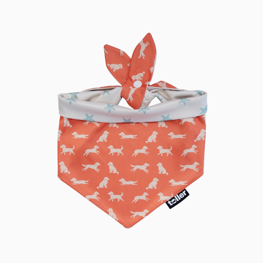 'Star Player' 2-in-1 Dog Bandana