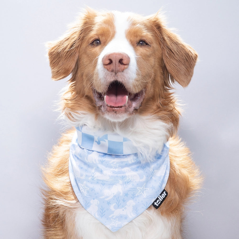 'Swimmers Check' 2-in-1 Dog Bandana