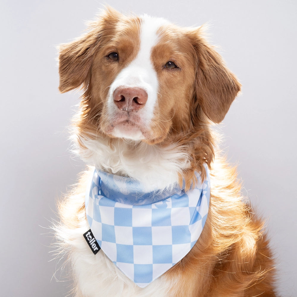 'Swimmers Check' 2-in-1 Dog Bandana