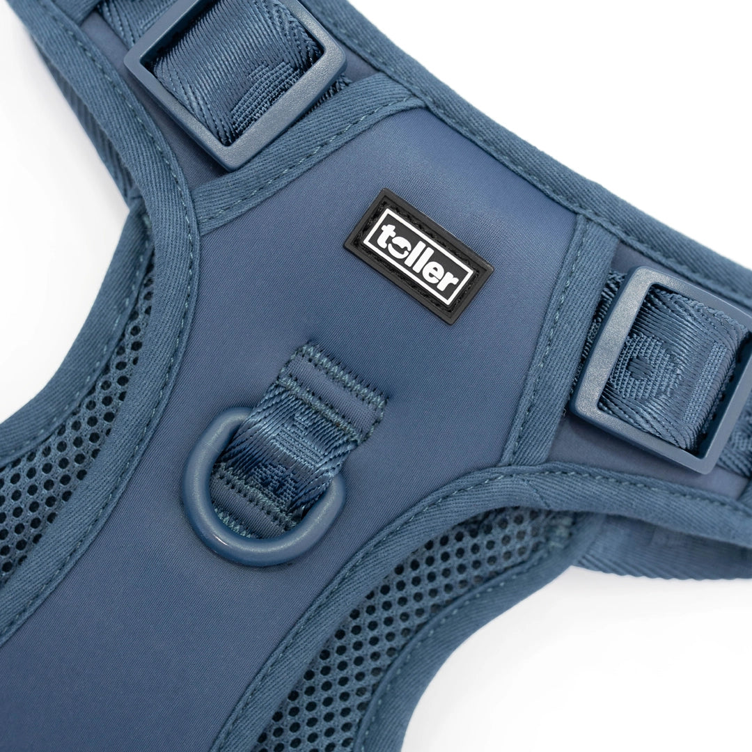 Toller close up of Navy dog harness